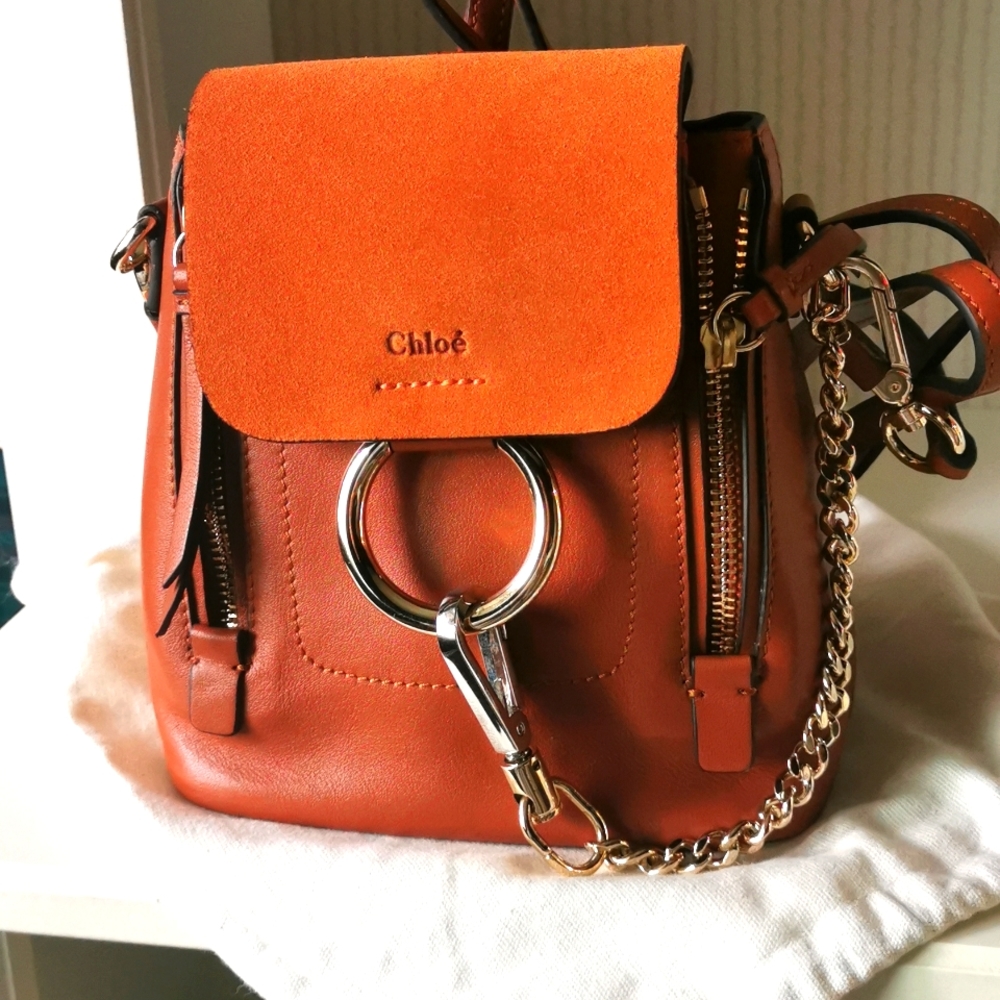 faye mini backpacker